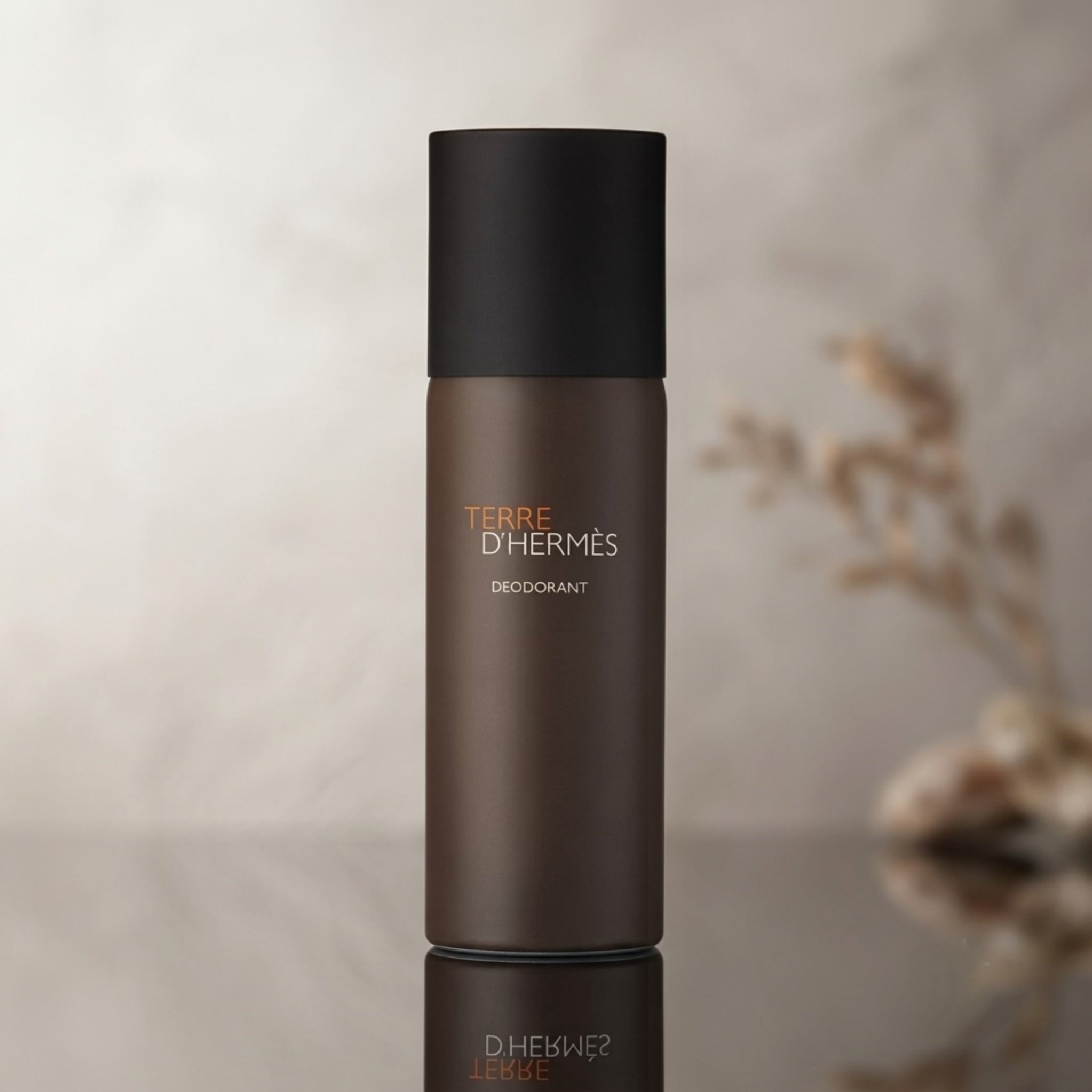 Hermès Terre d'Hermès Deodorant Spray 150ml